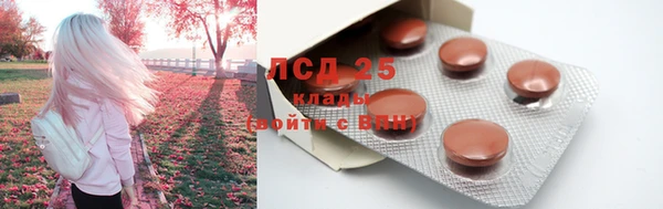 мяу мяу мука Алексеевка