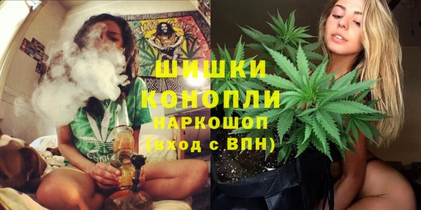 гидра Алзамай