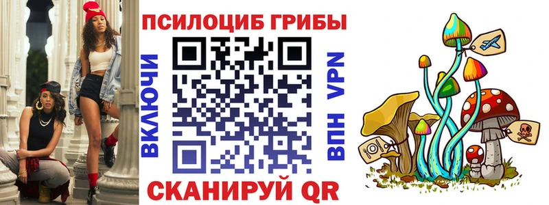 где продают наркотики  Бирск  Галлюциногенные грибы Psilocybe 